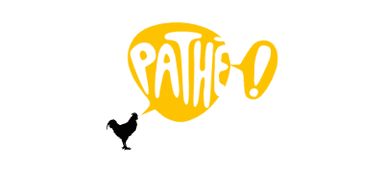 Logo 13